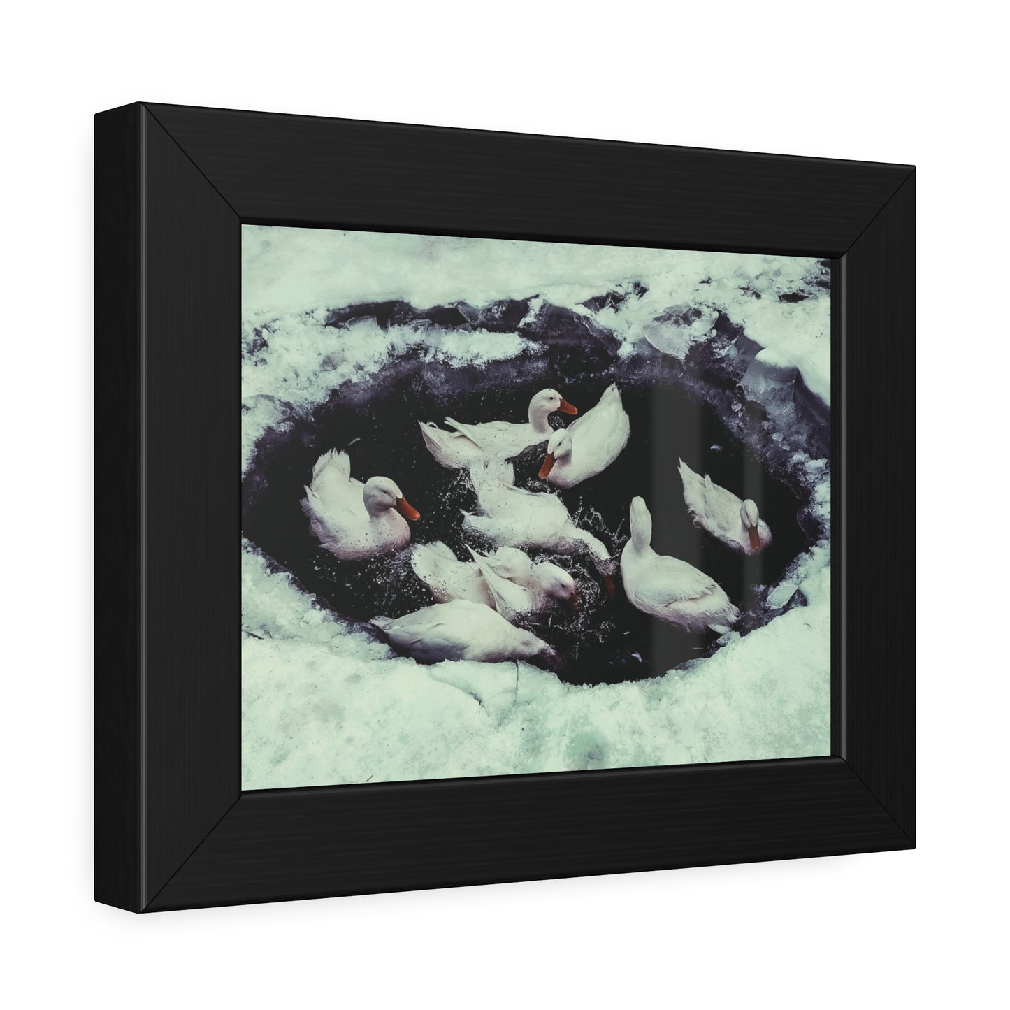 Framed Duck Pond Photo Print — Winter Waterfowl Wall Art